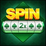 Spin 2x